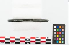 Foto von Bronzearmreif (NHMW-PRAE-002266)